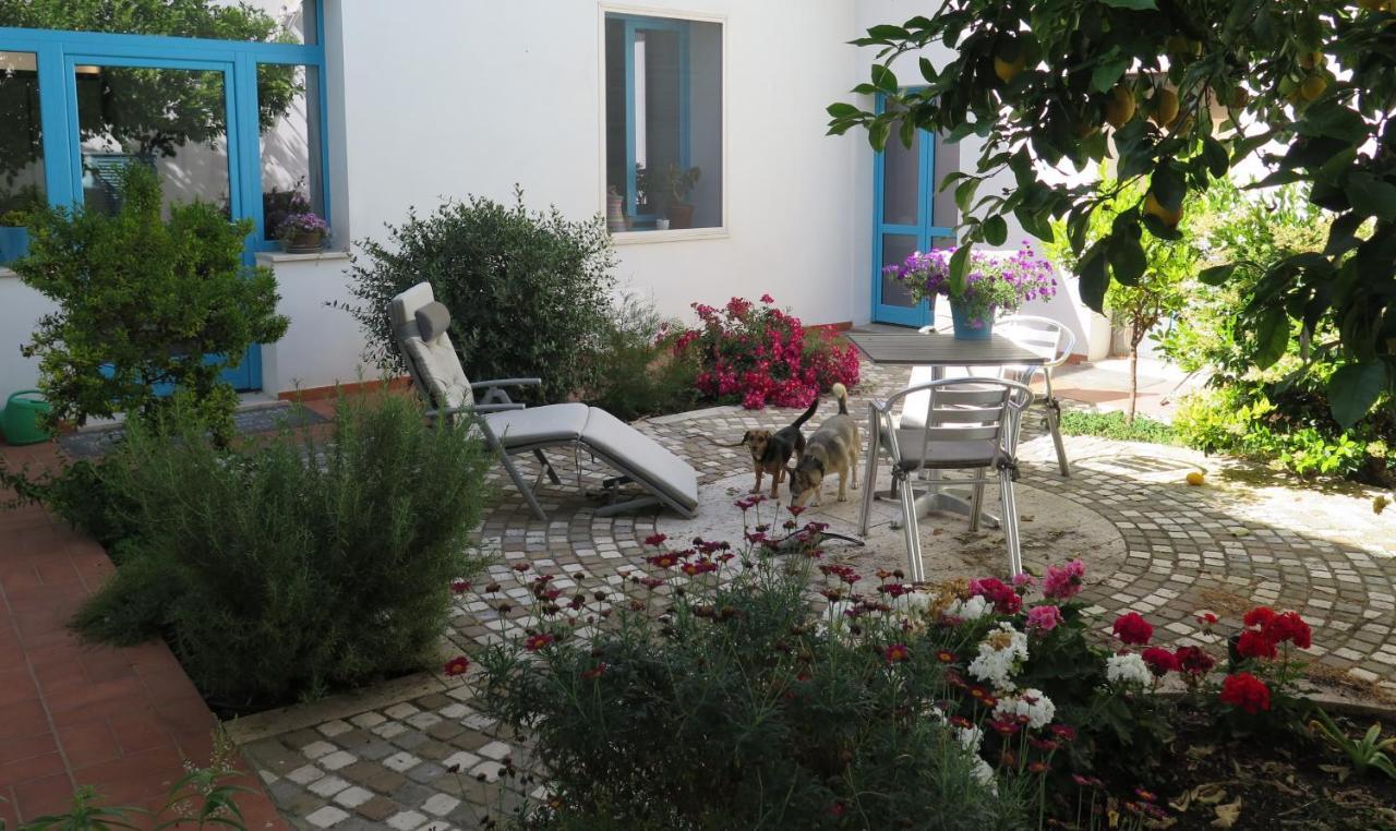 B&B-Le Rondini Monserrato Kültér fotó